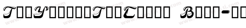 TheYearofTheCamel Bold字体转换